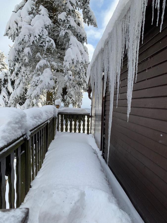 Chata U Klinovce Medenec Exteriör bild
